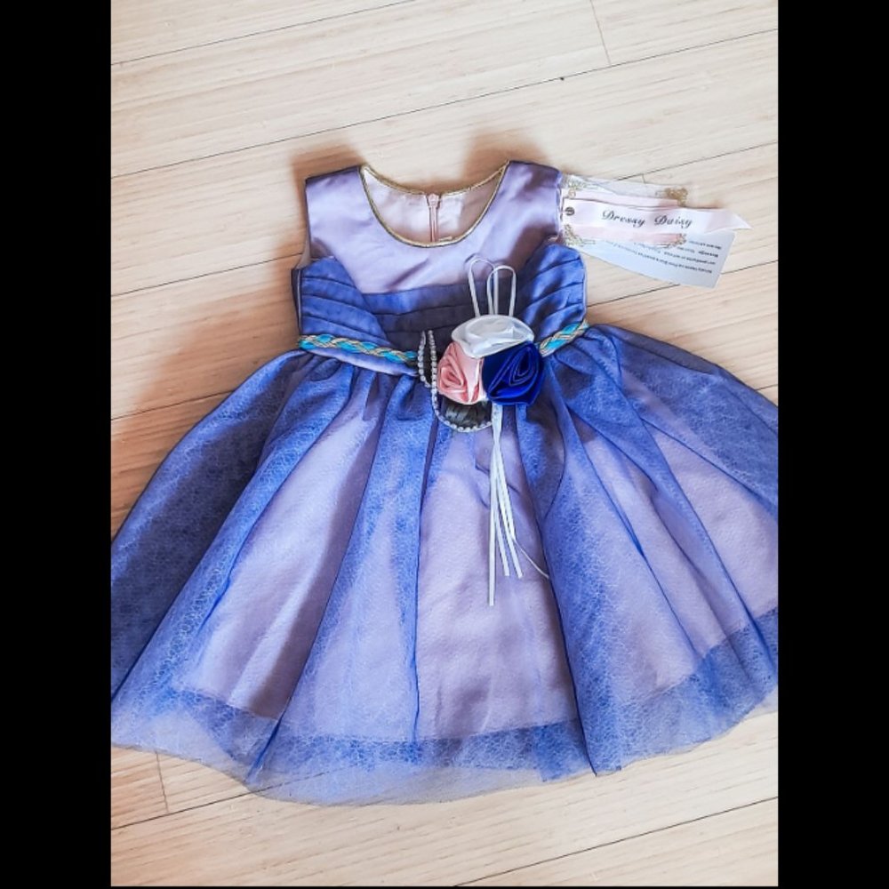 NWT Dressy Daisy Navy & Pink Dress (12m) - Picture 4 of 4